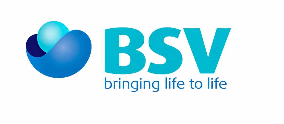 BSV